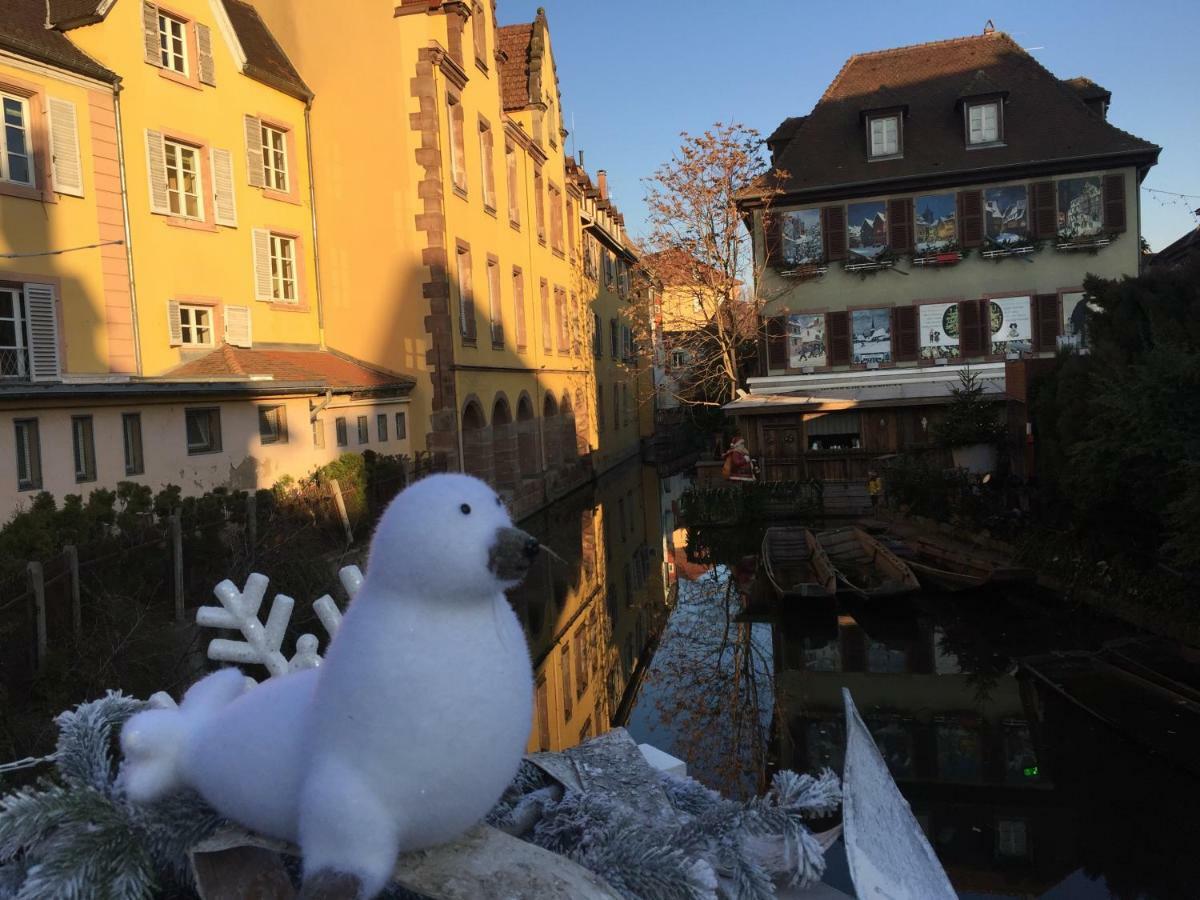 Residence du Galtz Colmar Dış mekan fotoğraf
